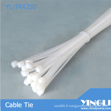 Attaches de câble en plastique en nylon (YL-T4X250)